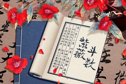 身宫高亮怎么读