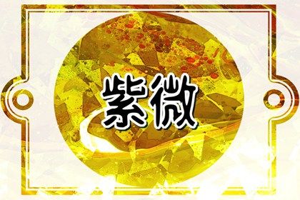 兄弟宫参考什么