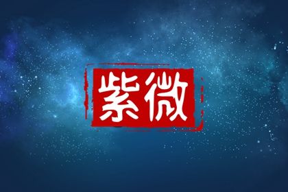 把选择权交给命盘